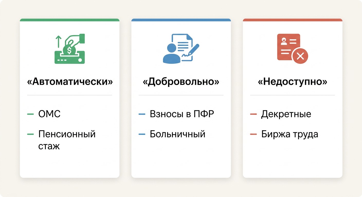 Социальные гарантии самозанятого — что даётся автоматически, добровольно и недоступно