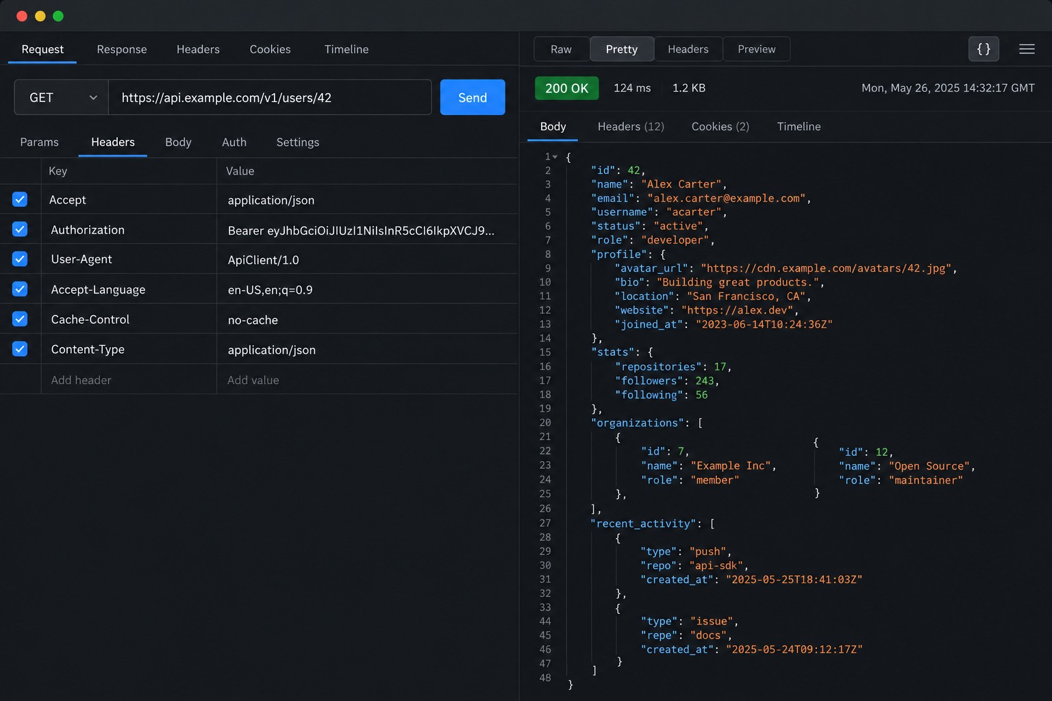 JSON-ответ REST API в интерфейсе инструмента для HTTP-запросов